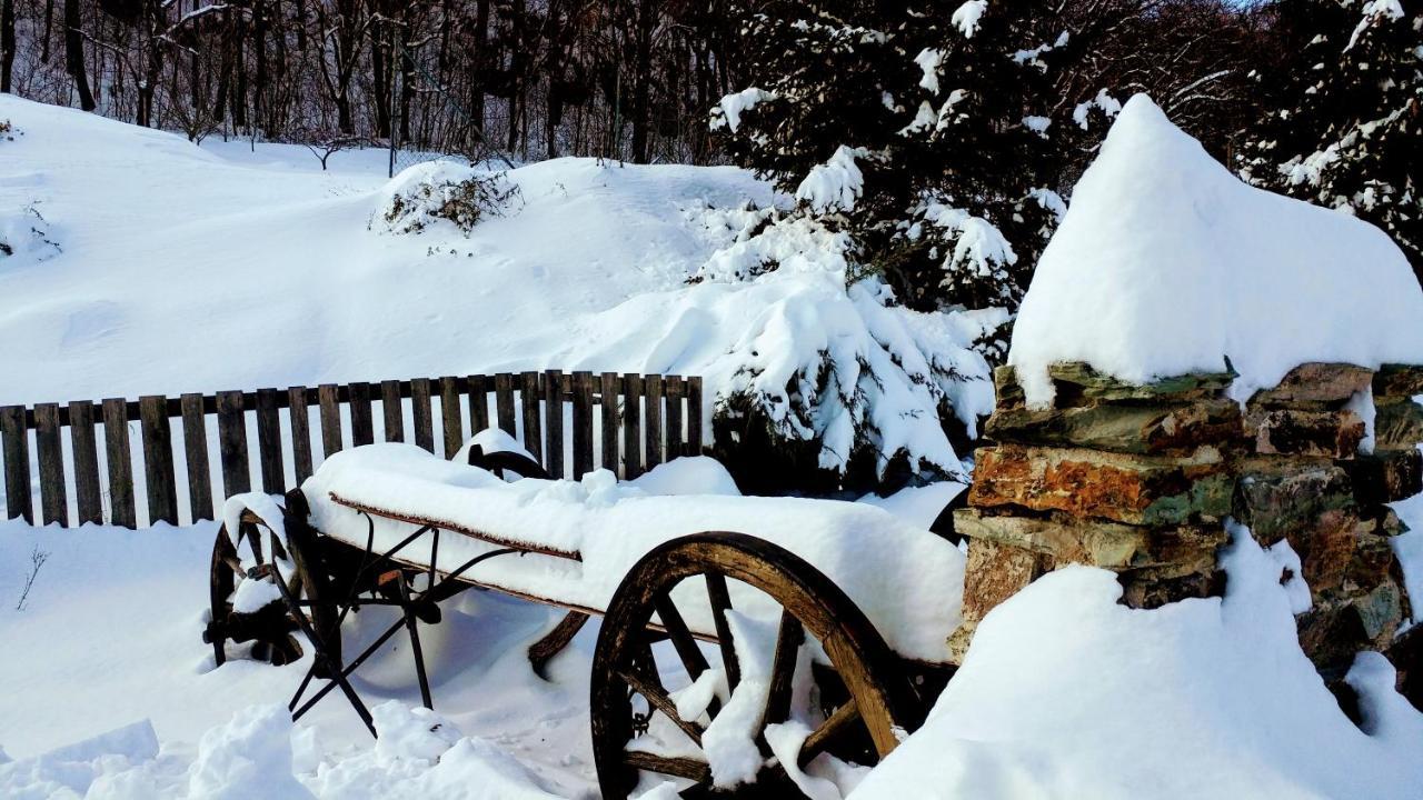Pod Hradom Restaurant & Pension Topoľčany Eksteriør billede